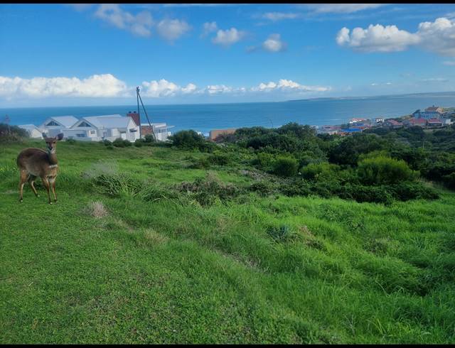 990M² VACANT LAND FOR SALE IN DANA BAY